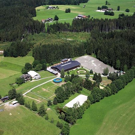 Ferienwohnung Reitgestüt Waldeck Saalfelden Exterior foto
